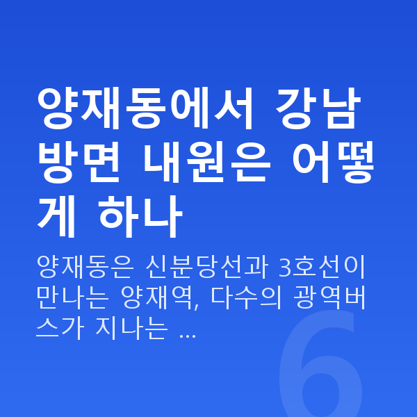 양재동라섹 양재동에서 강남 방면 내원은 어떻게 하나