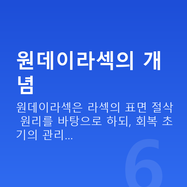 원데이라섹 원데이라섹의 개념