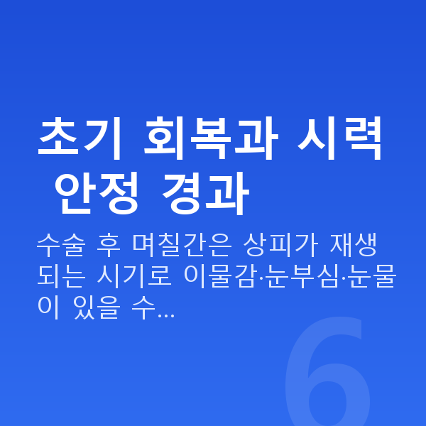 원데이라섹회복기간 초기 회복과 시력 안정 경과