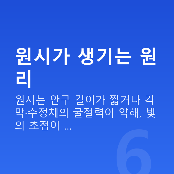 원시 원시가 생기는 원리