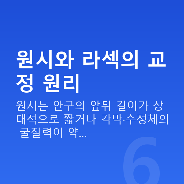 원시라섹 원시와 라섹의 교정 원리