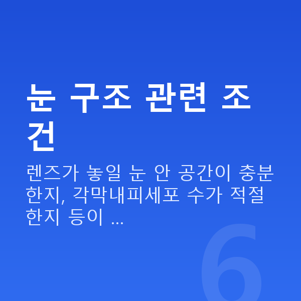 유수정체렌즈삽입술가능조건 눈 구조 관련 조건