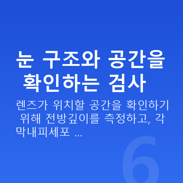 유수정체렌즈삽입술검사항목 눈 구조와 공간을 확인하는 검사