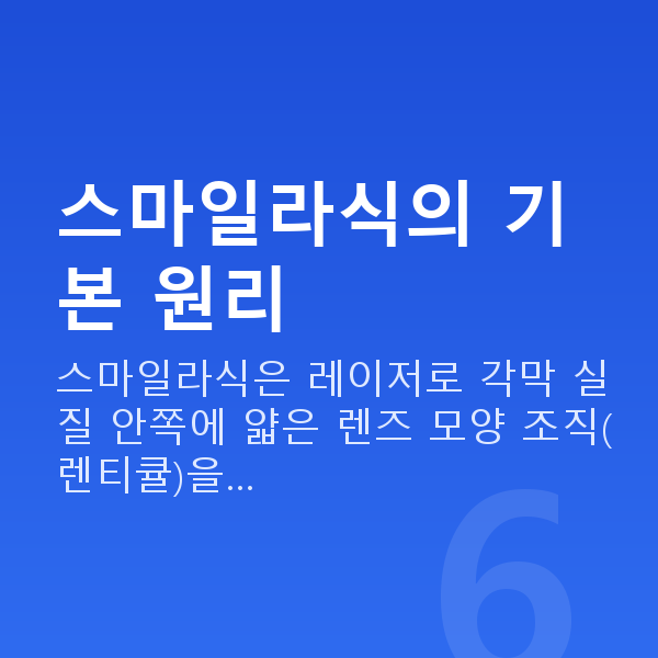 직장인스마일라식 스마일라식의 기본 원리