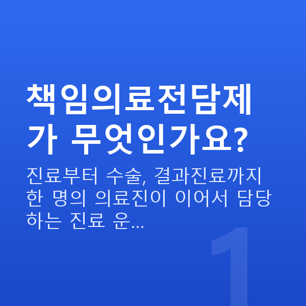 책임의료전담제 책임의료전담제가 무엇인가요?