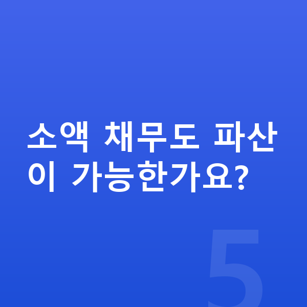 30대 개인파산 소액 채무도 파산이 가능한가요?