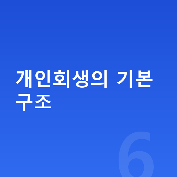 개인회생 개인회생의 기본 구조
