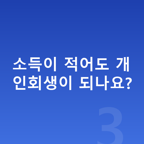 빚 때문에 힘들때 소득이 적어도 개인회생이 되나요?