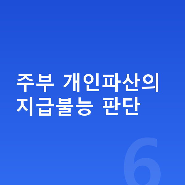 주부 개인파산 주부 개인파산의 지급불능 판단