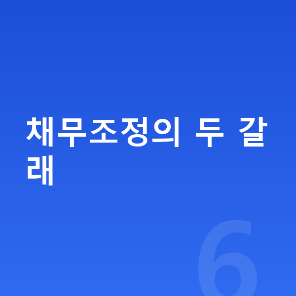 채무조정 채무조정의 두 갈래