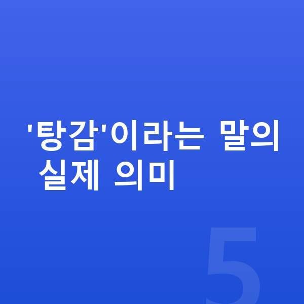 채무탕감 '탕감'이라는 말의 실제 의미