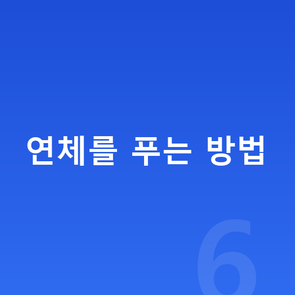 카드값 연체 연체를 푸는 방법