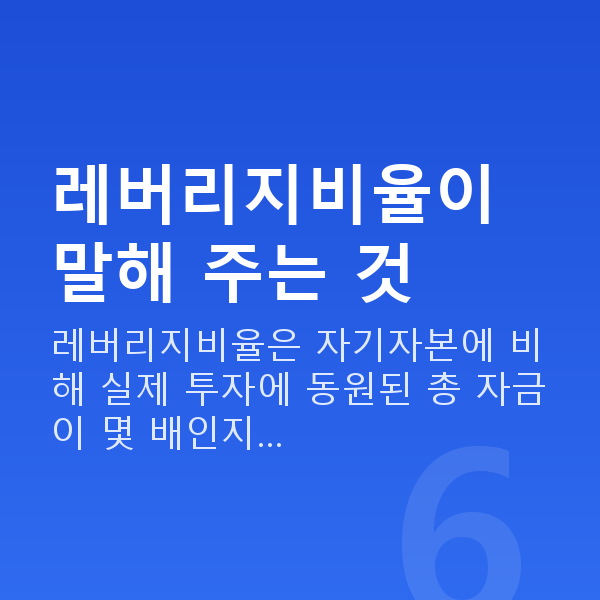레버리지비율 레버리지비율이 말해 주는 것