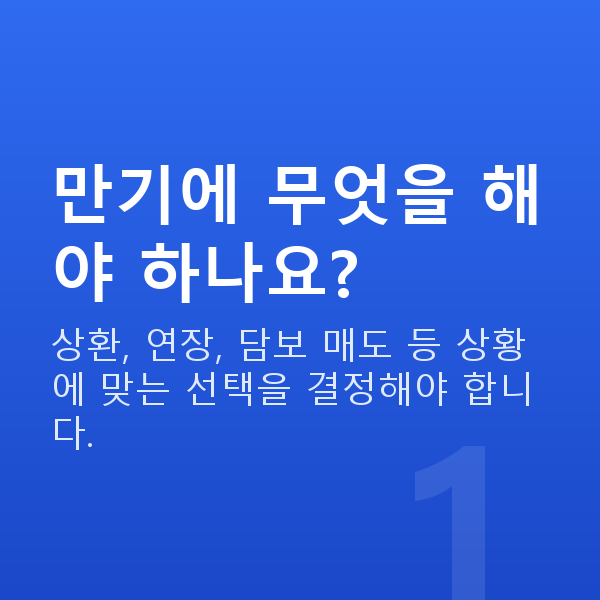 주식담보대출만기 만기에 무엇을 해야 하나요?