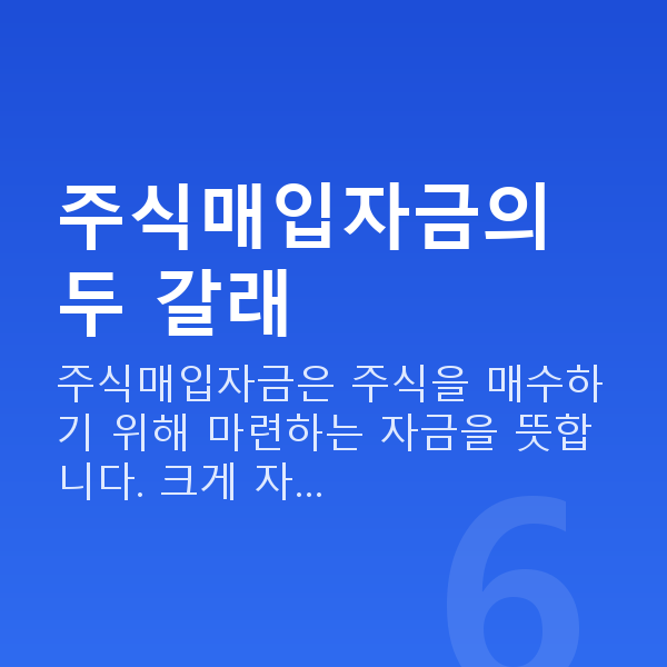 주식매입자금 주식매입자금의 두 갈래