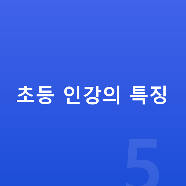 초등인강 초등 인강의 특징
