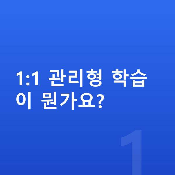 초등 1:1 관리 1:1 관리형 학습이 뭔가요?