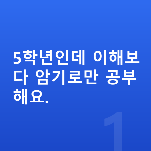 초등 5학년 공부법 5학년인데 이해보다 암기로만 공부해요.
