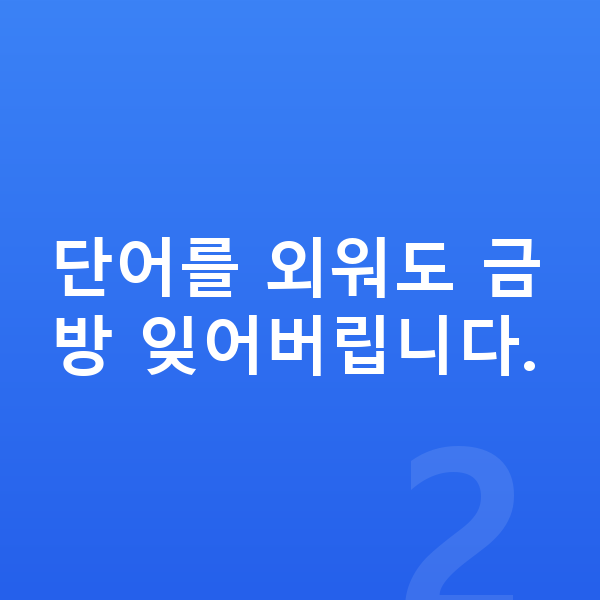 초등 6학년 영어 단어를 외워도 금방 잊어버립니다.