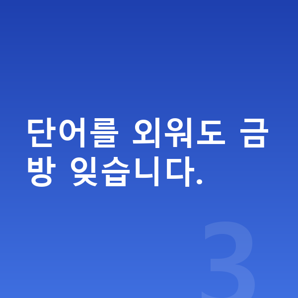 초등 고학년 영어 단어를 외워도 금방 잊습니다.