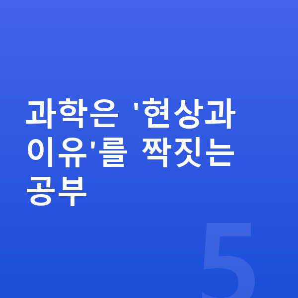 초등 과학 공부법 과학은 '현상과 이유'를 짝짓는 공부