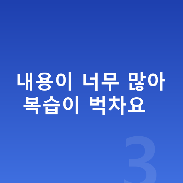 초등 사회 복습 내용이 너무 많아 복습이 벅차요