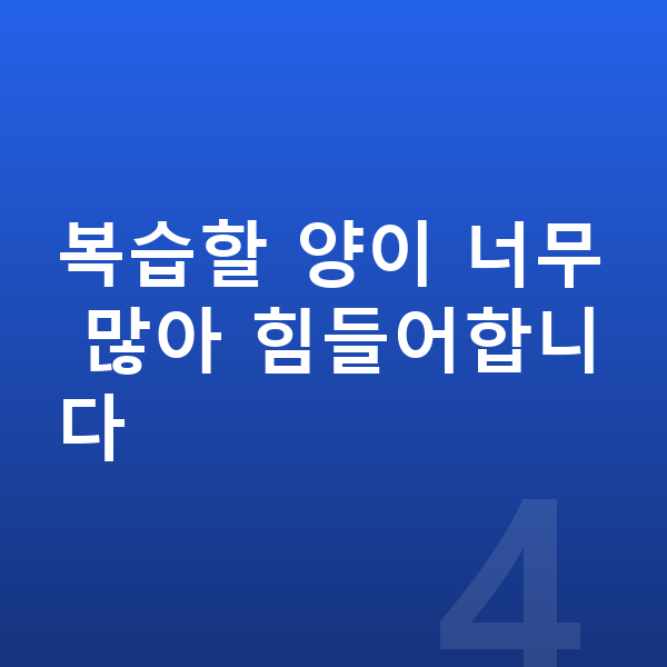 초등 수학 복습 복습할 양이 너무 많아 힘들어합니다