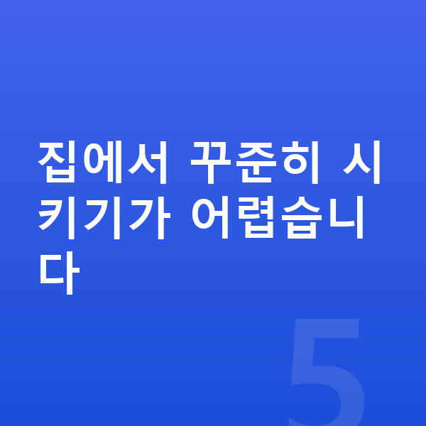 초등 영어 공부법 집에서 꾸준히 시키기가 어렵습니다