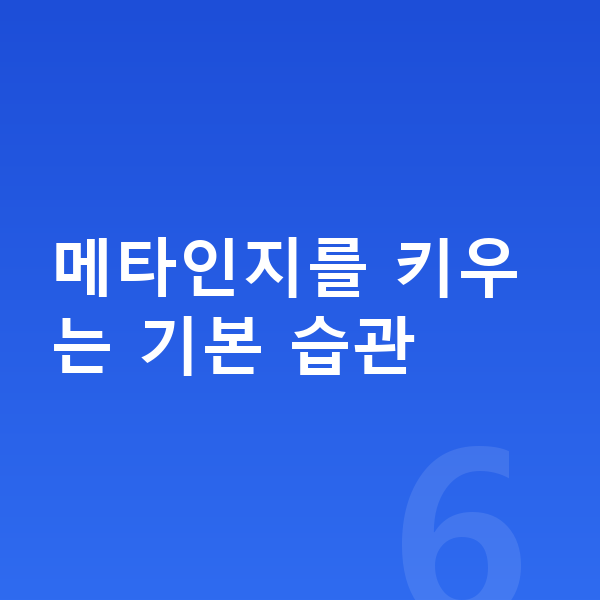 메타인지 메타인지를 키우는 기본 습관