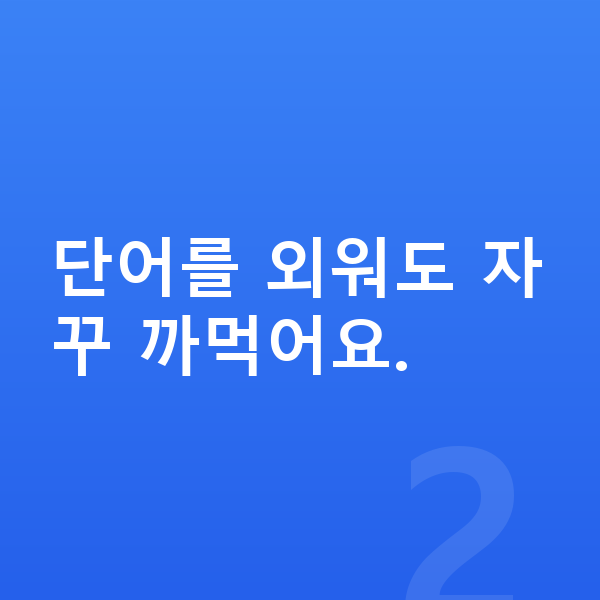 중등 영어 공부법 단어를 외워도 자꾸 까먹어요.