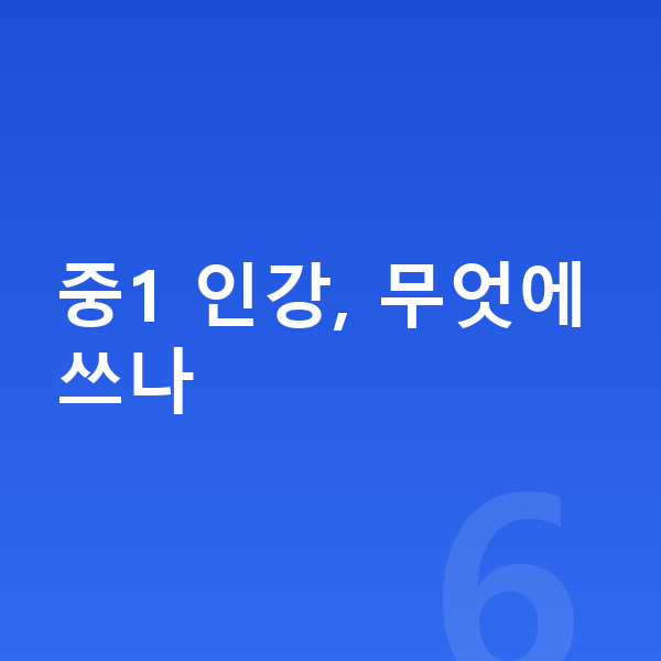 중학교 1학년 인강 중1 인강, 무엇에 쓰나