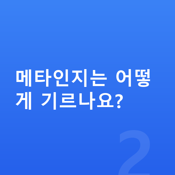 중학생 자기주도학습 메타인지는 어떻게 기르나요?