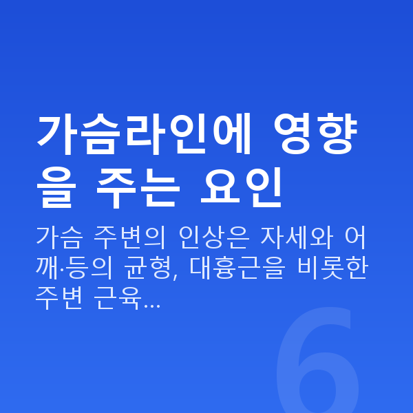 가슴라인 가슴라인에 영향을 주는 요인