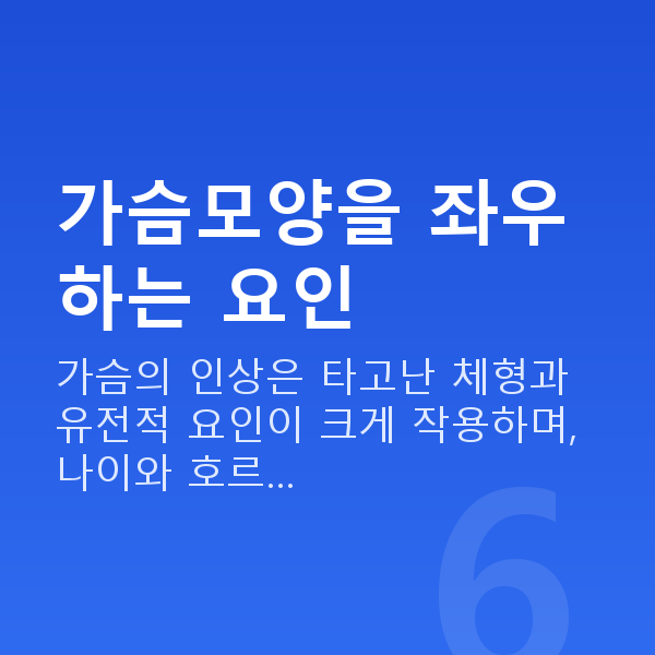 가슴모양 가슴모양을 좌우하는 요인