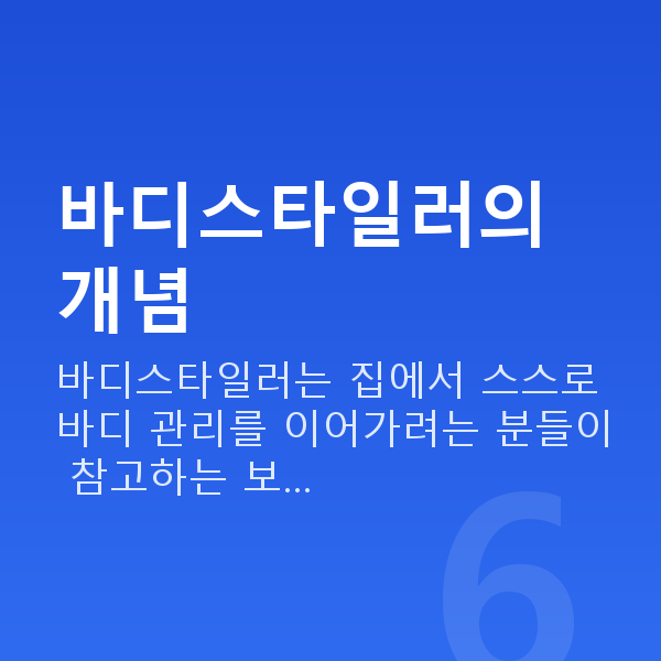바디스타일러 바디스타일러의 개념