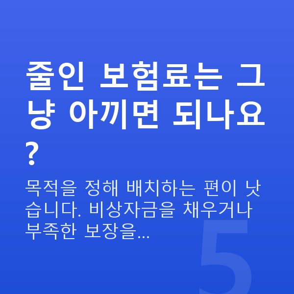 보험료 줄이기 줄인 보험료는 그냥 아끼면 되나요?