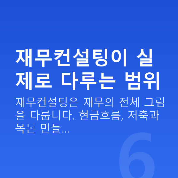 재무컨설팅 재무컨설팅이 실제로 다루는 범위