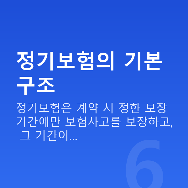 정기보험 정기보험의 기본 구조