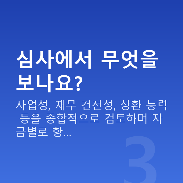 고액정책자금 심사에서 무엇을 보나요?