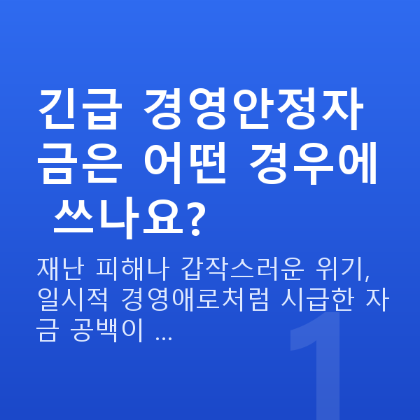 긴급 경영안정자금 긴급 경영안정자금은 어떤 경우에 쓰나요?