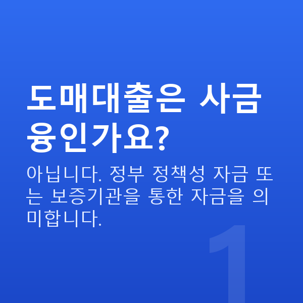 도매대출 도매대출은 사금융인가요?