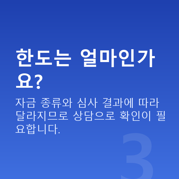 도매대출 한도는 얼마인가요?