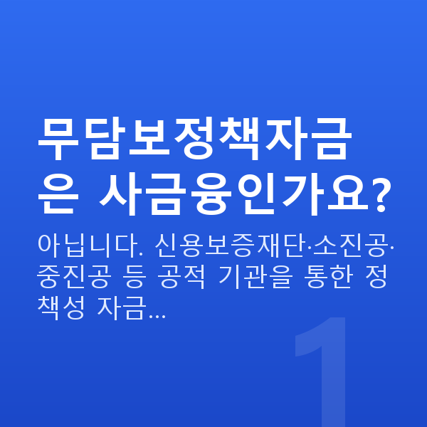 무담보정책자금 무담보정책자금은 사금융인가요?