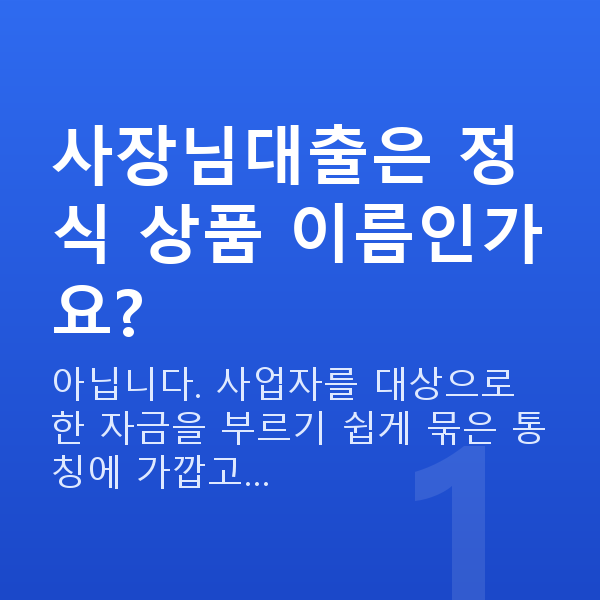 사장님대출 사장님대출은 정식 상품 이름인가요?