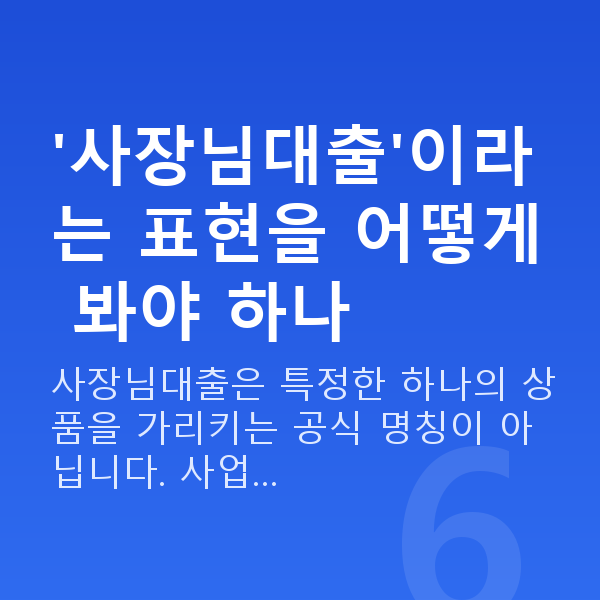 사장님대출 '사장님대출'이라는 표현을 어떻게 봐야 하나