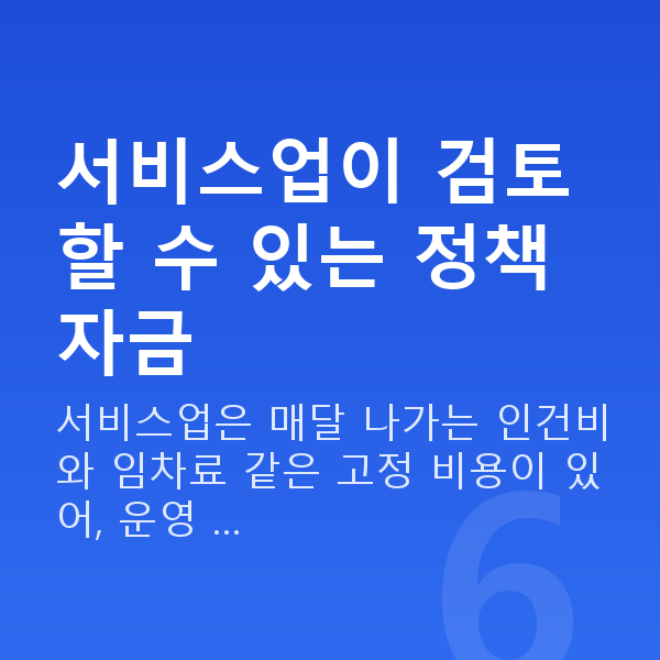 서비스업정책자금 서비스업이 검토할 수 있는 정책자금