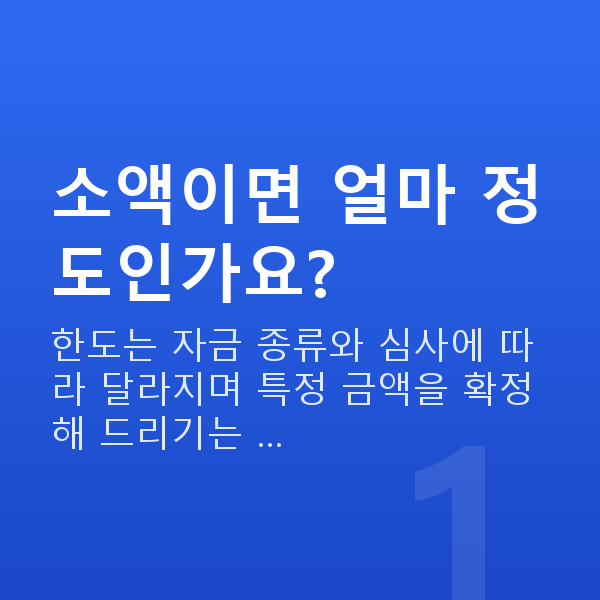 소액정책자금 소액이면 얼마 정도인가요?