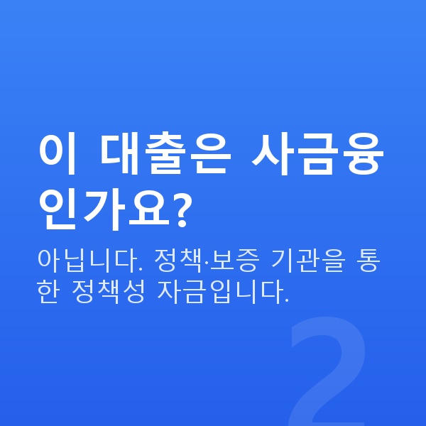 스마트스토어대출 이 대출은 사금융인가요?