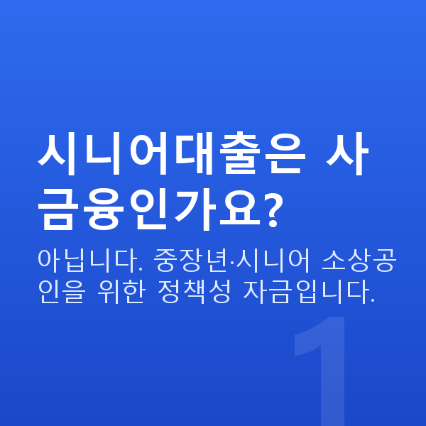 시니어대출 시니어대출은 사금융인가요?