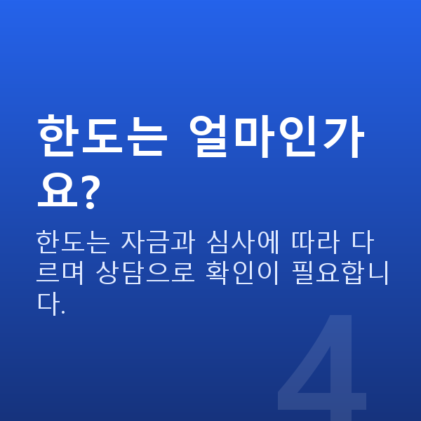 시니어대출 한도는 얼마인가요?